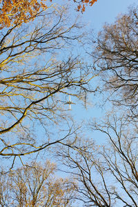 Low angle view of trees against clear sky