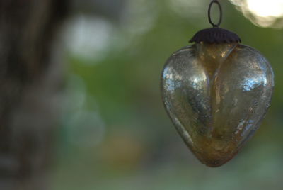 Close-up of heart shape hanging on plant