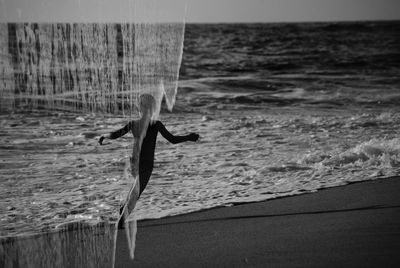 Seagull flying over sea shore