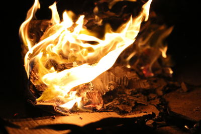 Close-up of bonfire at night