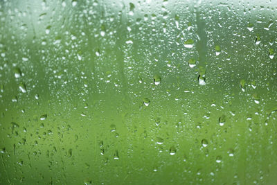 Full frame shot of raindrops on plant