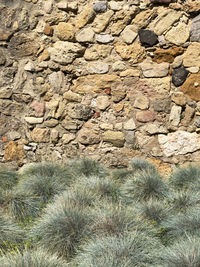 Full frame shot of stone wall