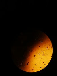 Close-up of lamp against black background
