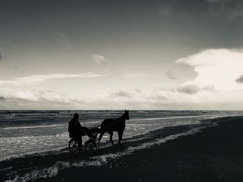 People riding horse on beach against sky