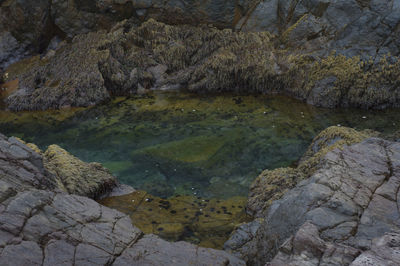 High angle view of lake amidst rock formation