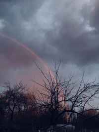 Low angle view of plants against rainbow in sky
