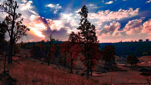 Scenic view of landscape against sky during sunset