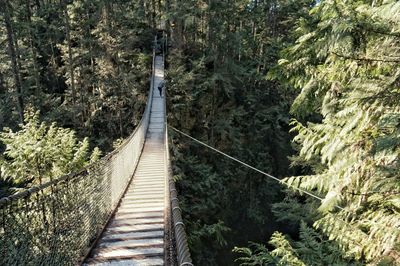 Footbridge amidst trees in forest