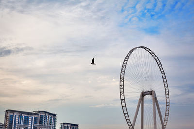 A bird flies against the backdrop of the eye of dubai ferris wheel on bluewater island, travel