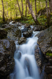 Stream flowing through rocks in forest