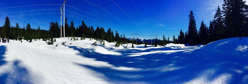 Snow covered land and trees against sky