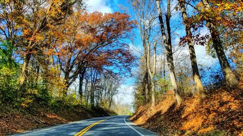 Road amidst trees in forest during autumn