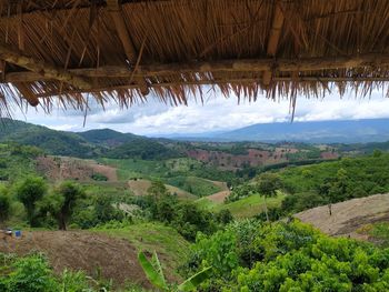 Scenic view of agricultural landscape against sky