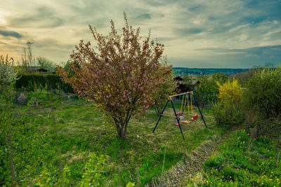 Trees and plants in park against sky