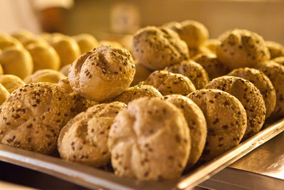 Close-up of cookies in tray