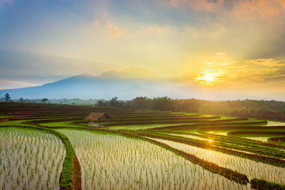 Morning view with beautiful rice terraces reflecting the sky and the morning sun