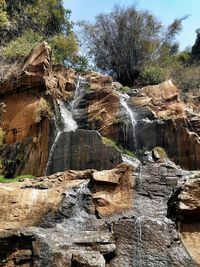 Rocks in forest