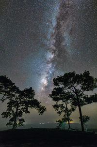 Silhouette trees against sky at night