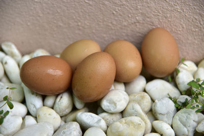 High angle view of eggs in container