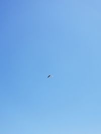 Low angle view of eagle flying against clear blue sky