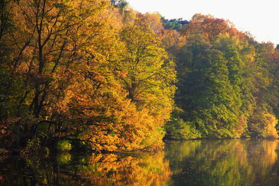 Scenic view of lake by trees against sky