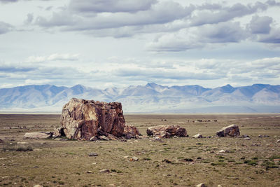 Beige backpack, bottle of water and straw hat on on top of the mountain. active travel concept.