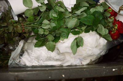 High angle view of vegetables in container