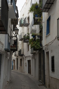 Narrow street amidst buildings in town