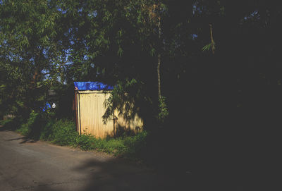 Trees and plants against closed blue door