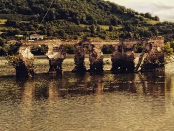 Reflection of trees on river