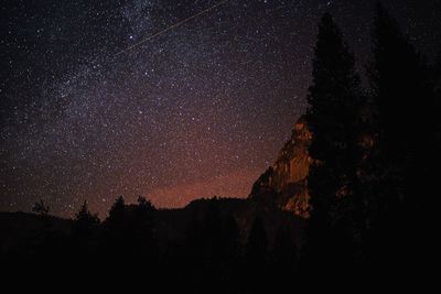 Low angle view of silhouette trees against sky at night