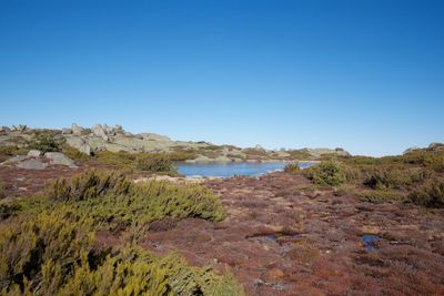 Beautiful nature scenery with clear blue sky