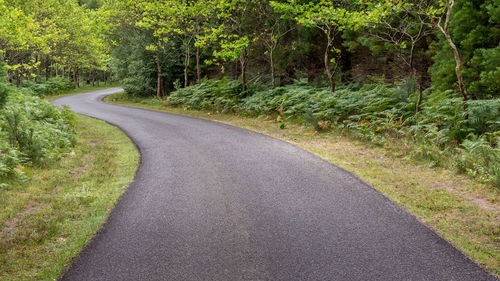 Road amidst trees in forest