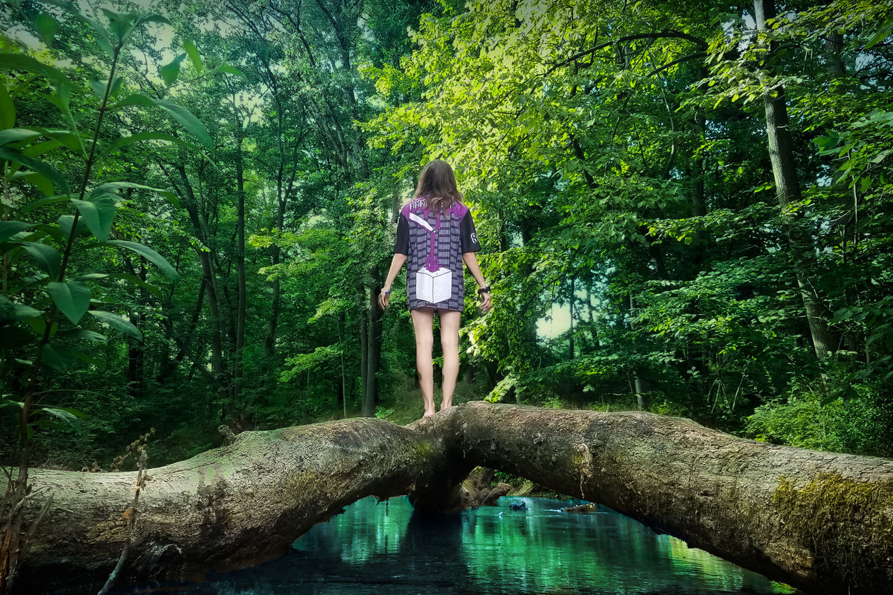 REAR VIEW OF WOMAN STANDING BY TREE IN FOREST