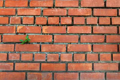 Full frame shot of brick wall