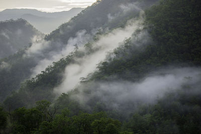 The mist at sunrise in the morning looks refreshing and beautiful.