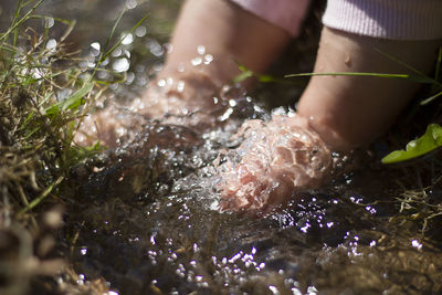 Close-up of hands in water