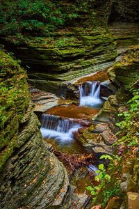 Scenic view of waterfall in forest