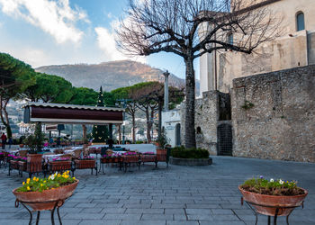 Potted plants on table by building against sky