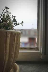 Close-up of bread on window