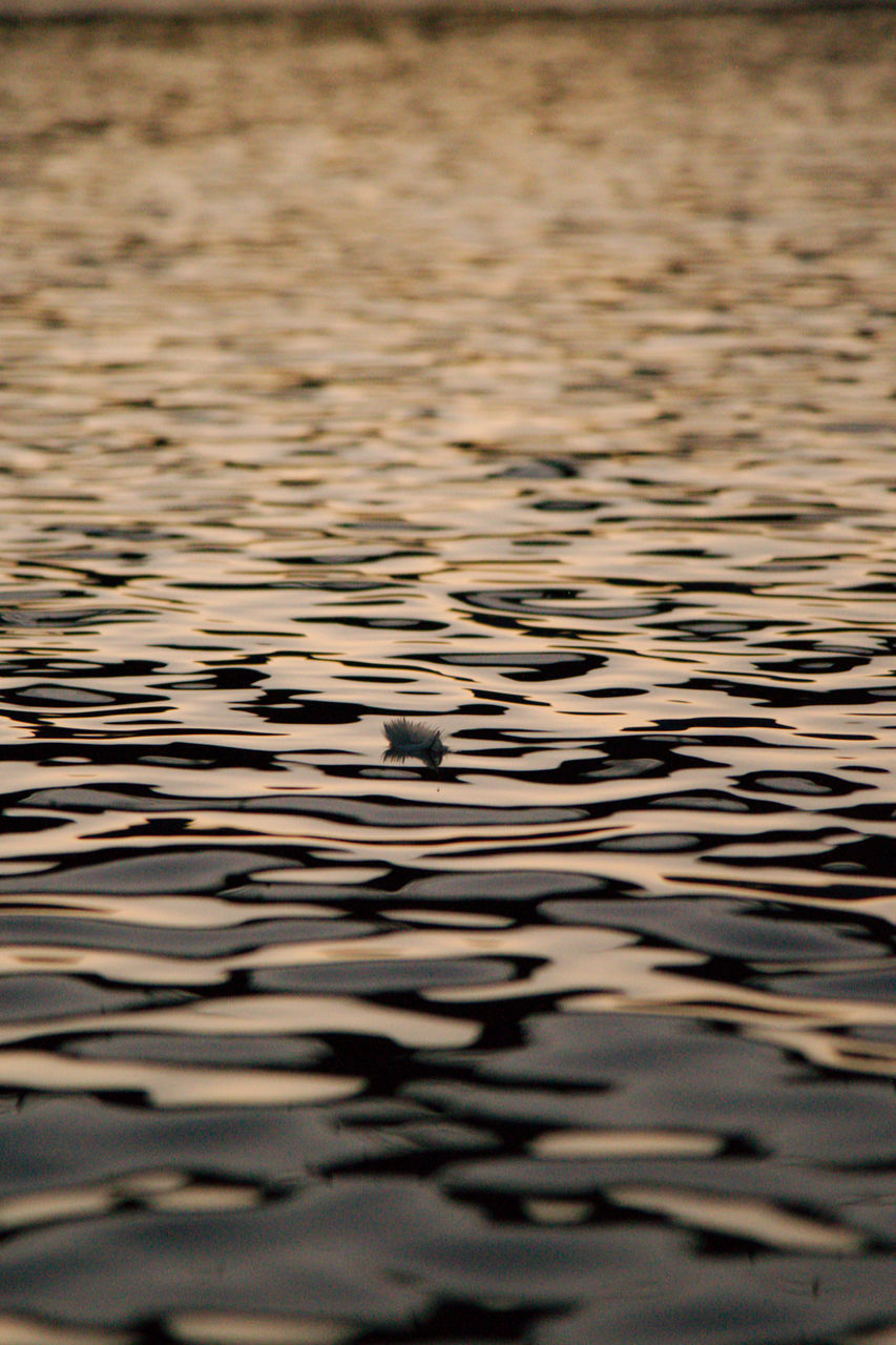 HIGH ANGLE VIEW OF RIPPLED WATER