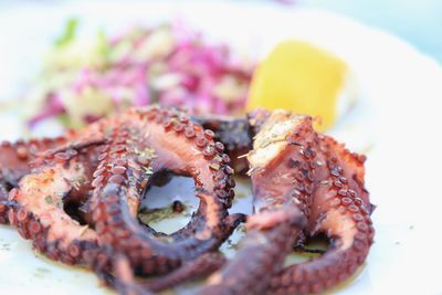 Close-up of grilled octopus meat in plate