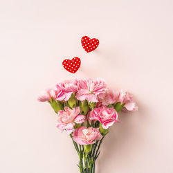 Close-up of pink roses against white background