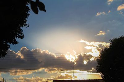 Low angle view of silhouette trees against sky during sunset