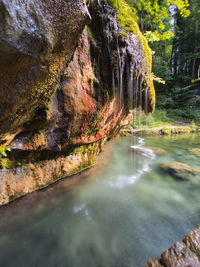 Scenic view of waterfall