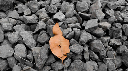 Full frame shot of rocks