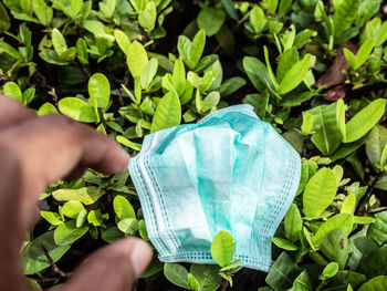 Midsection of person holding plant