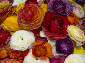 High angle view of various flowers on display