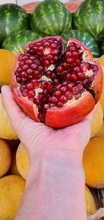 Close-up of hand holding strawberries