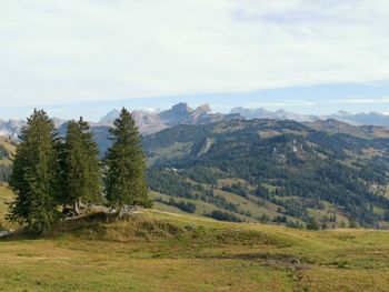 Scenic view of landscape against sky